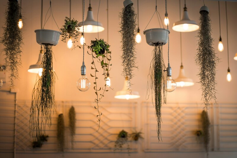 Lighting & Electrics